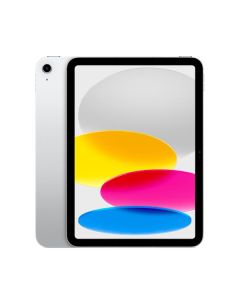 Apple iPad Wi-Fi 4GB/64 no sim  Silver - MCM74TY/A 